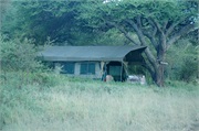 NabbiHill6