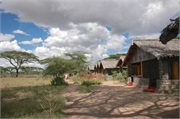 Ndutu1