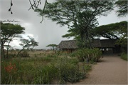 Ndutu2