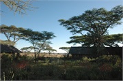 Ndutu3