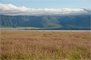 Norongoro14
