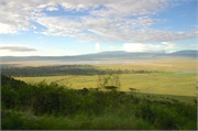 Norongoro16