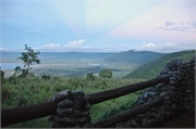 Norongoro22