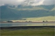 Norongoro24