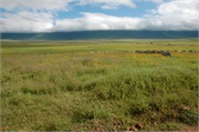 Norongoro26