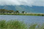 Norongoro27
