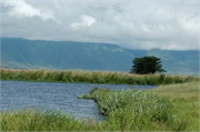 Norongoro28