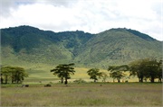 Norongoro34