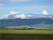 Norongoro5