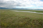 Norongoro6