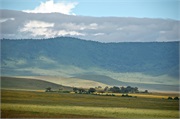 Norongoro7