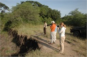 SafariFamily27