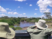 SafariFamily66