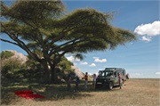 SafariFamily68