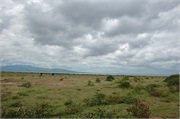 LakeManyara22