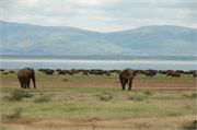 LakeManyara23
