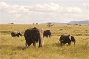 LakeManyara6