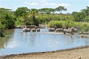 LakeManyara9