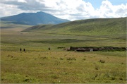 Masai15