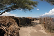Masai7