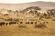 Migration1