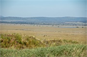 Migration11