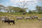 Migration13