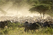 Migration6