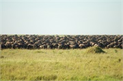 Migration9