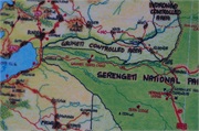 Serengeti1