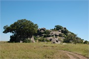 Serengeti11