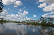 Serengeti13