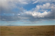 Serengeti17