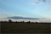 Serengeti18