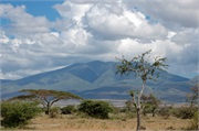 Serengeti23