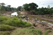 Serengeti3