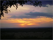 Serengeti4