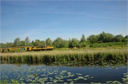 Keukenhoff1