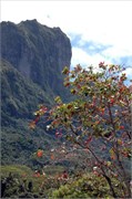 BoraBora_DSC_6989