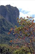 BoraBora_DSC_6990