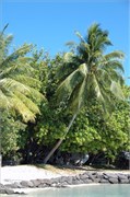 BoraBora_Vertical_DSC_7101