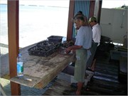TaaMotu_IMGP1784