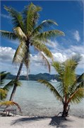 TaaMotu_Vertical_DSC_7246