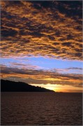 Moorea_DSC_7415