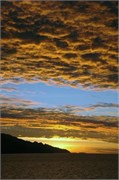 Moorea_DSC_7417