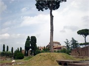 PalantineHill2