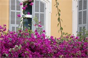 Nice_2009_N_5