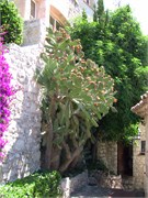 C_06102009_CoteDeAzure_119