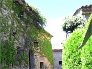 Eze_2009_11