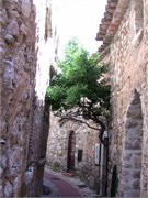 Eze_2009_17